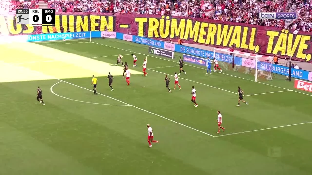 zaslepka skrotu video