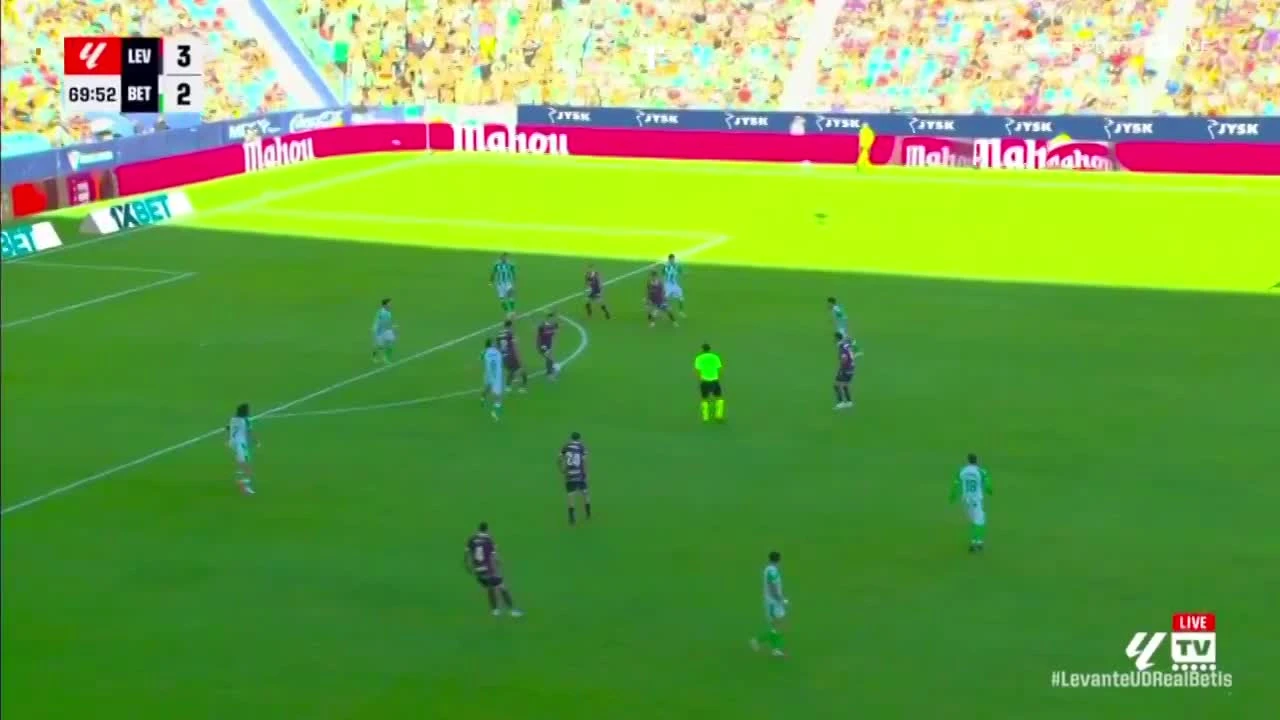 zaslepka skrotu video