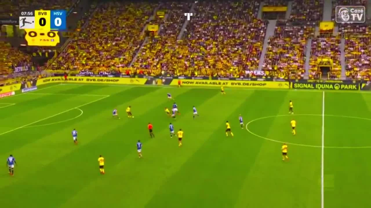 zaslepka skrotu video