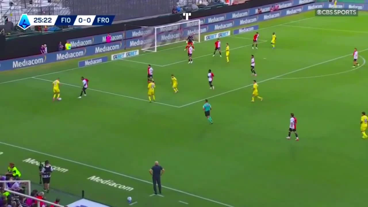 zaslepka skrotu video