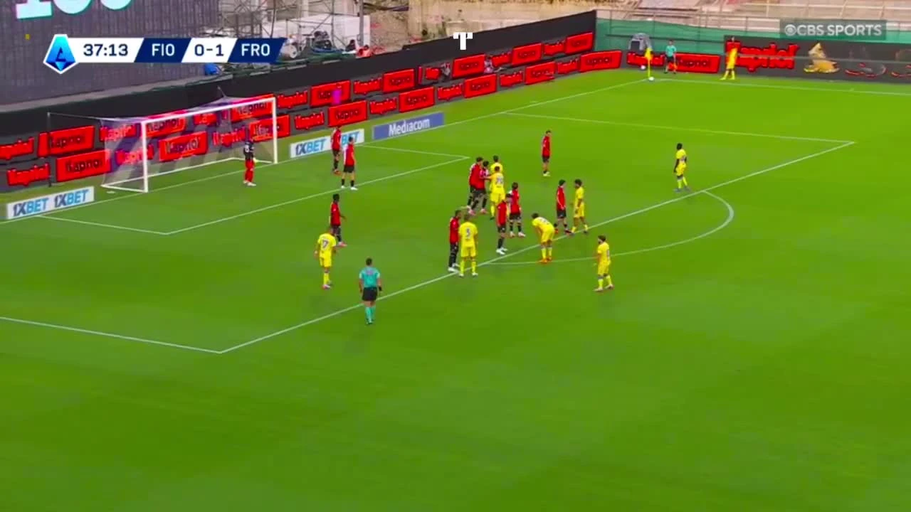 zaslepka skrotu video