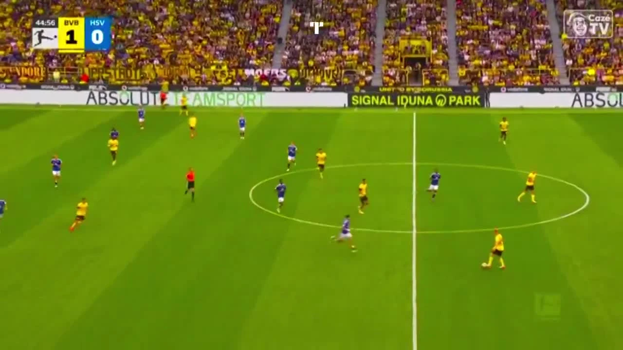 zaslepka skrotu video