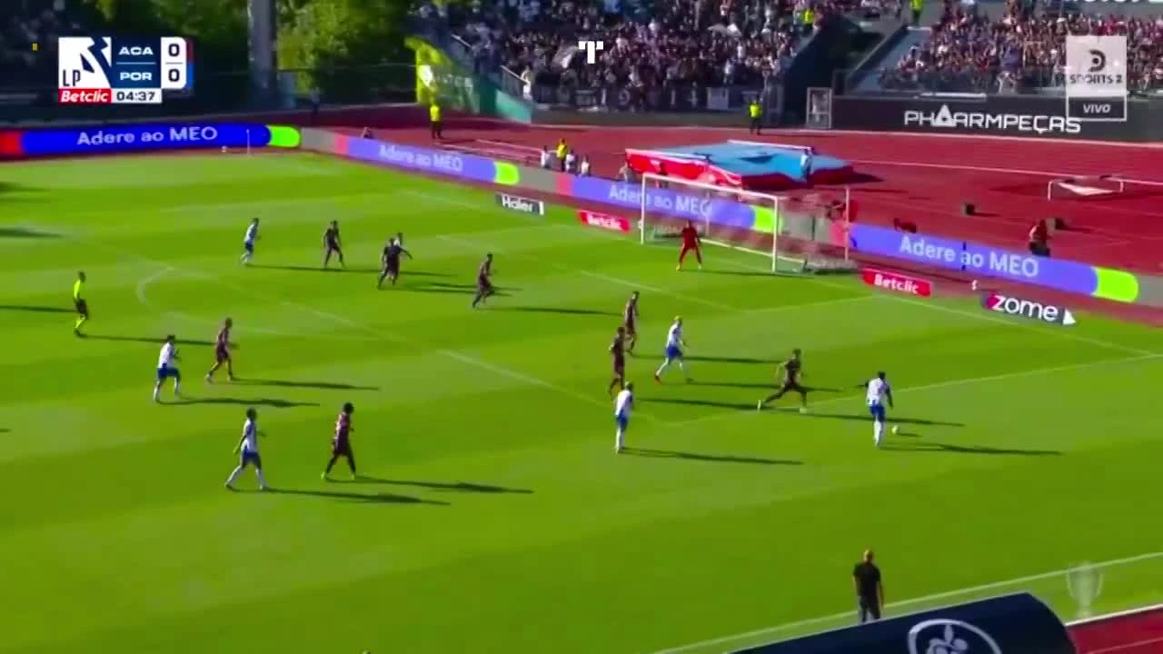 zaslepka skrotu video
