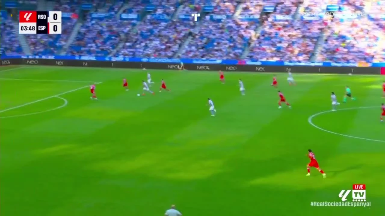 zaslepka skrotu video