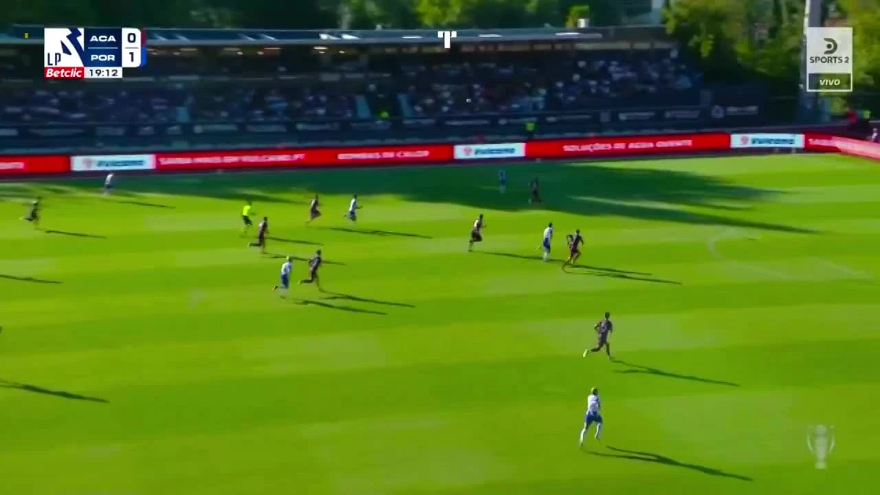 zaslepka skrotu video