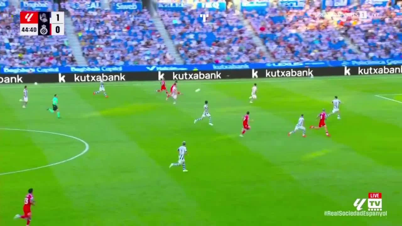zaslepka skrotu video