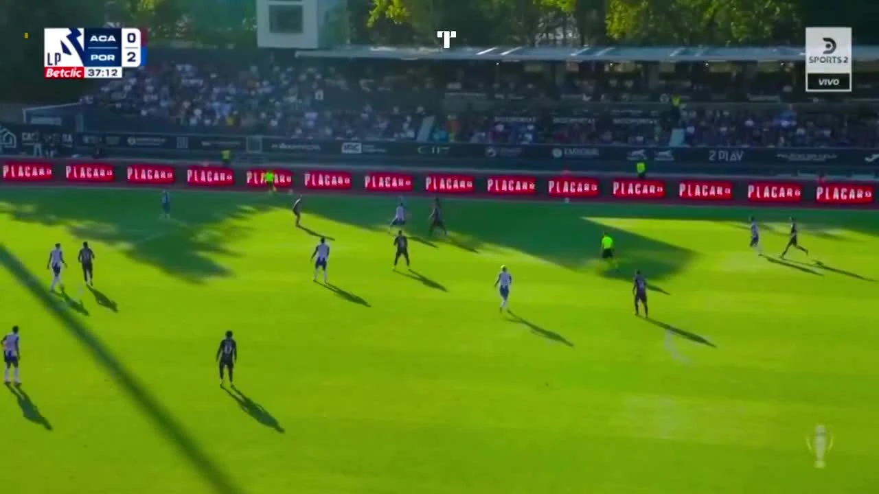 zaslepka skrotu video