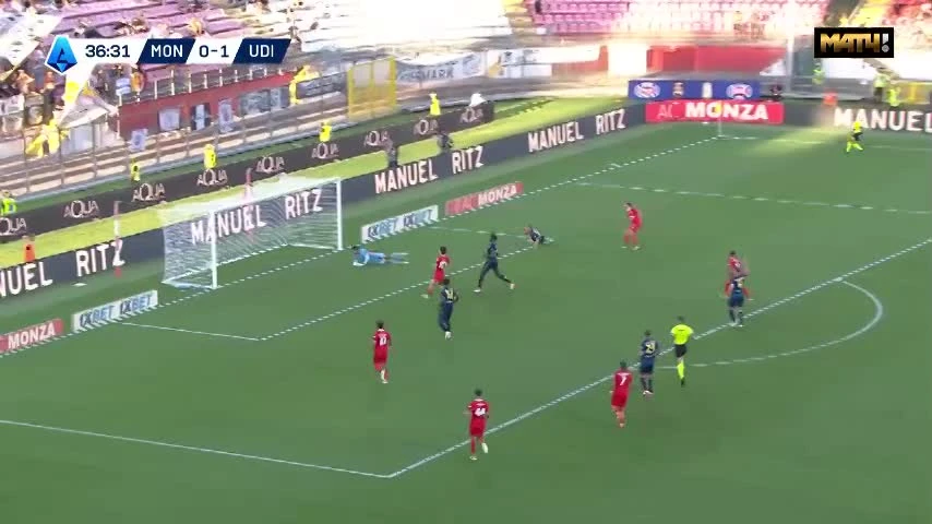 zaslepka skrotu video