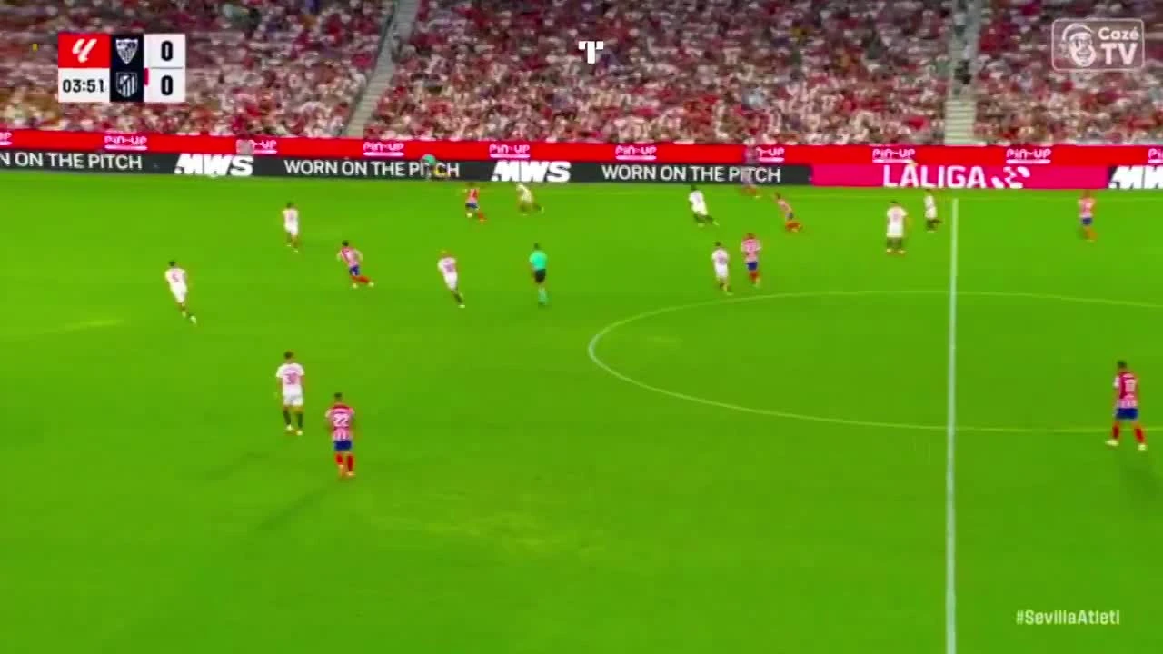 zaslepka skrotu video