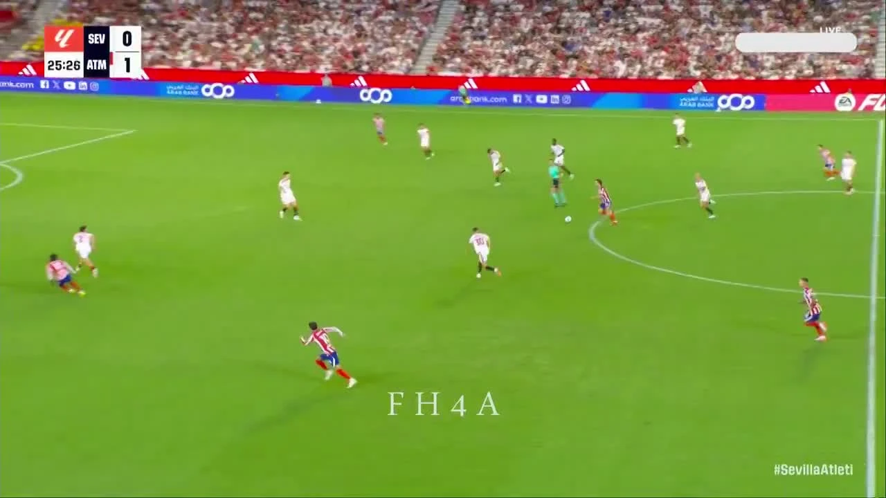 zaslepka skrotu video