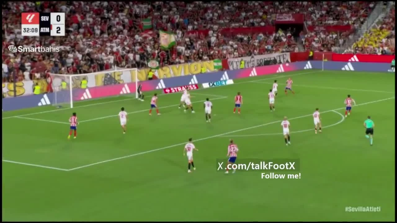 zaslepka skrotu video