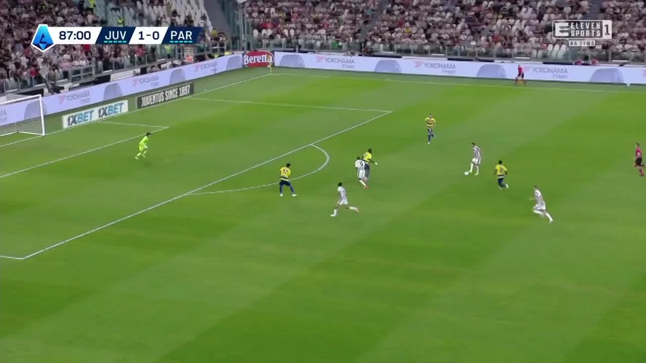 zaslepka skrotu video