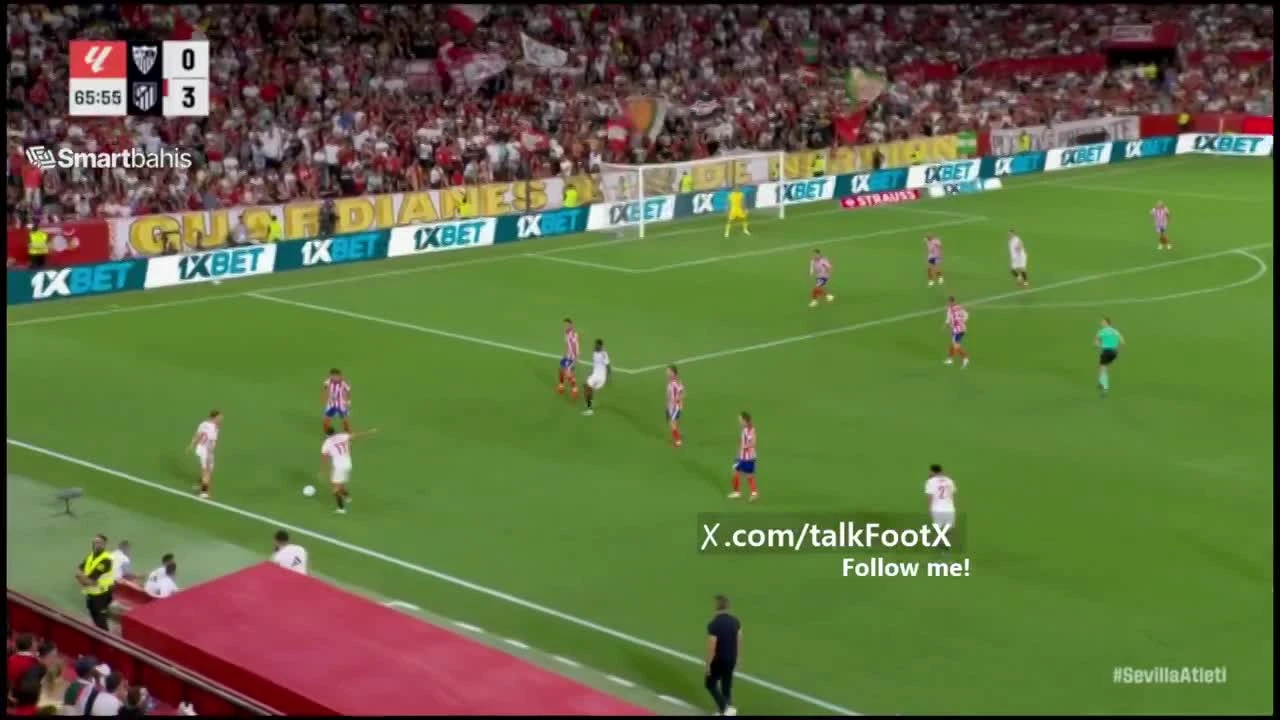 zaslepka skrotu video