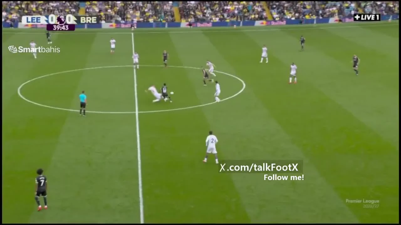 zaslepka skrotu video