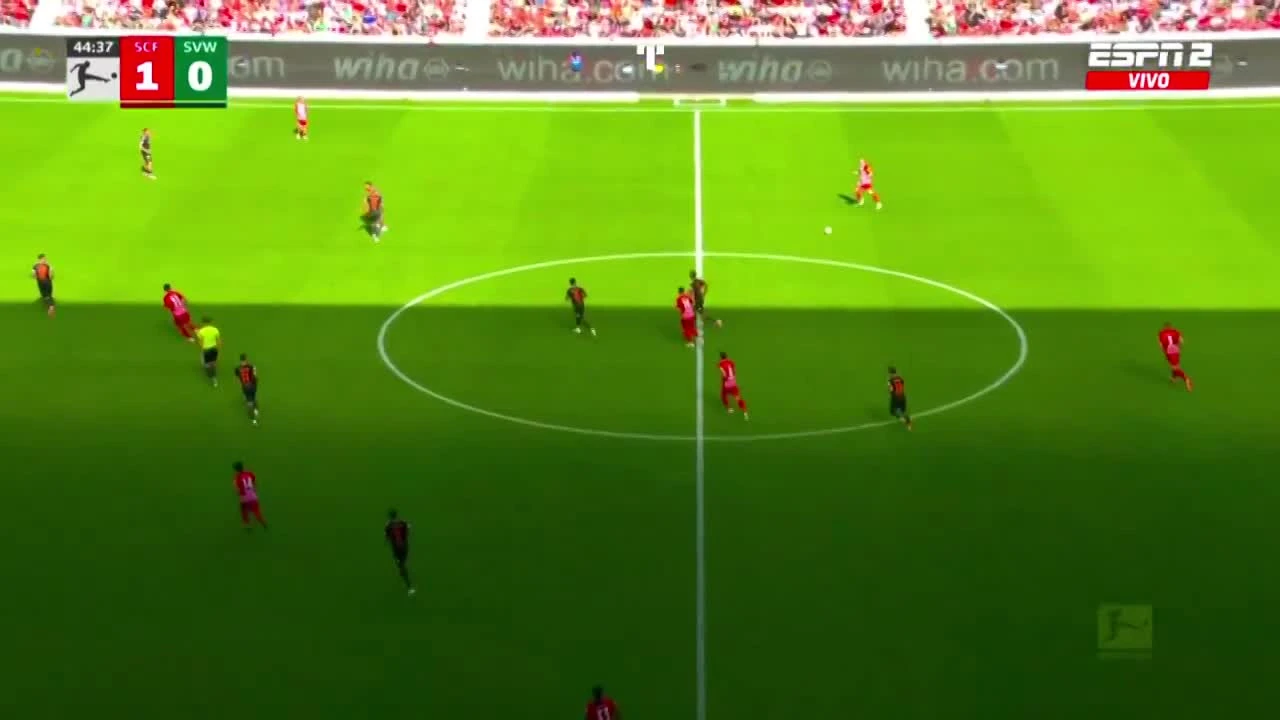 zaslepka skrotu video
