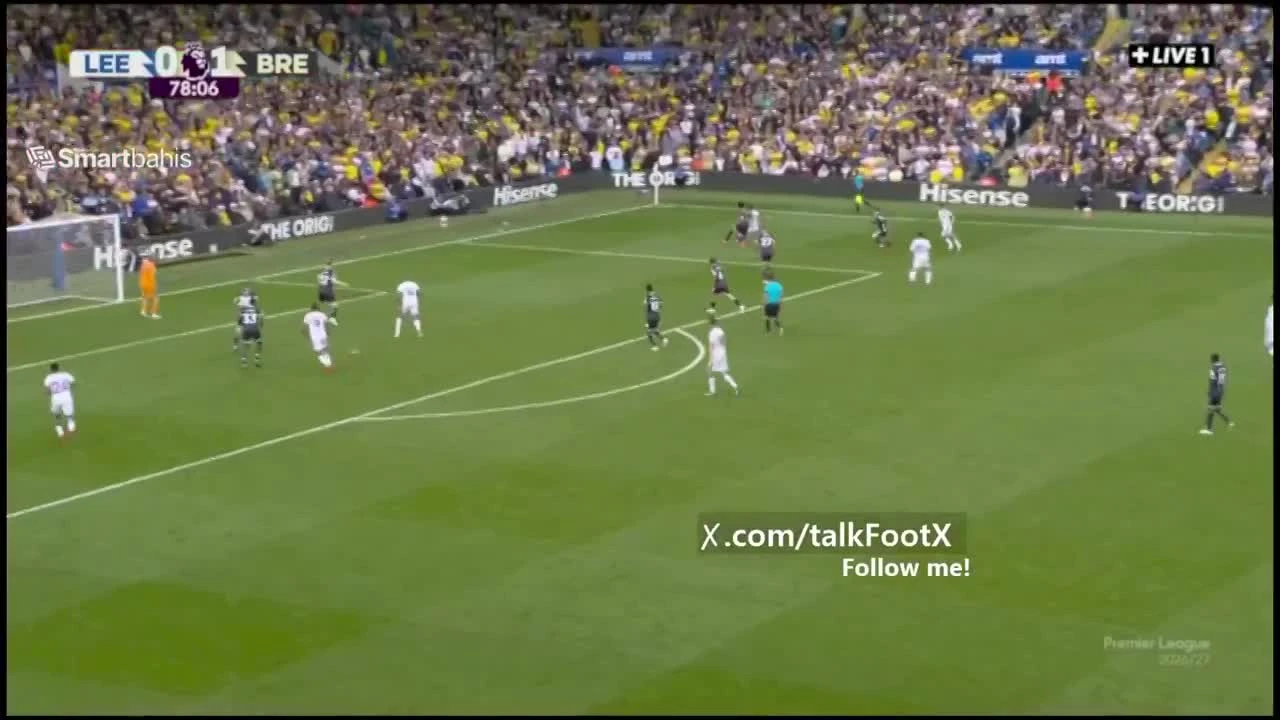 zaslepka skrotu video