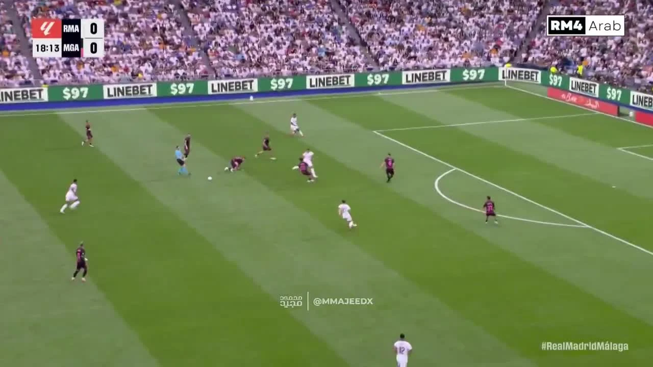 zaslepka skrotu video
