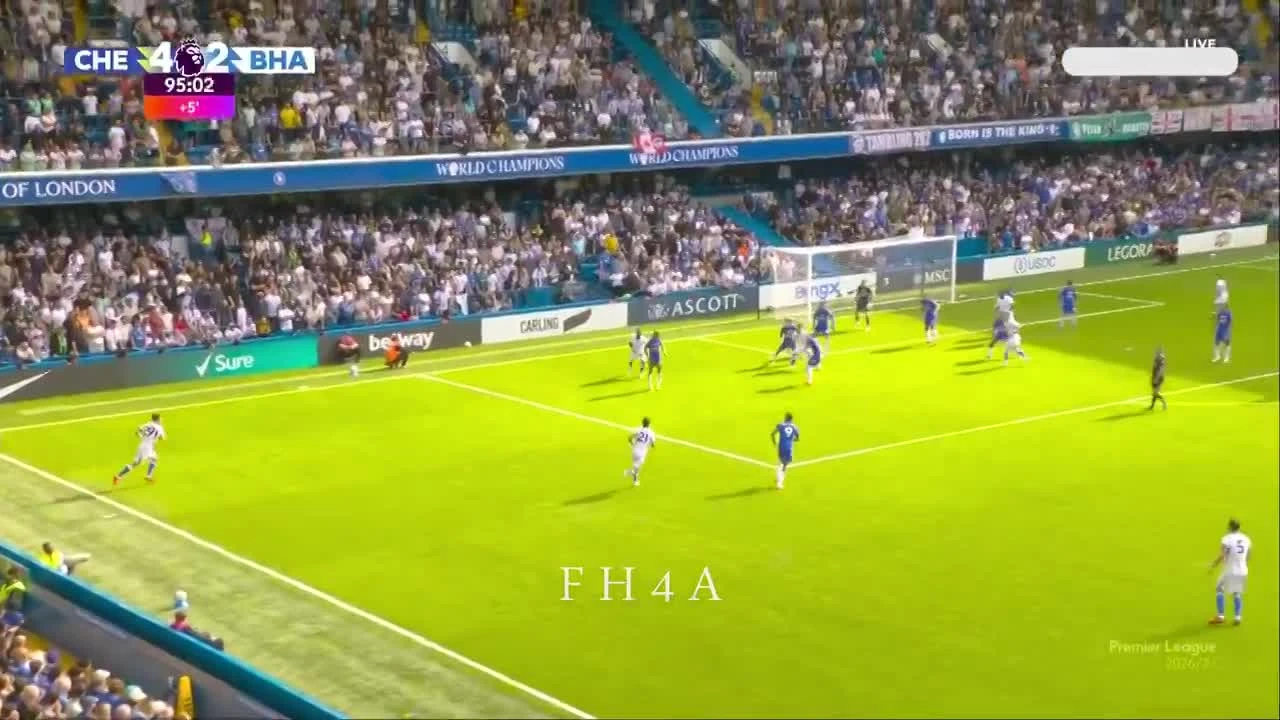 zaslepka skrotu video