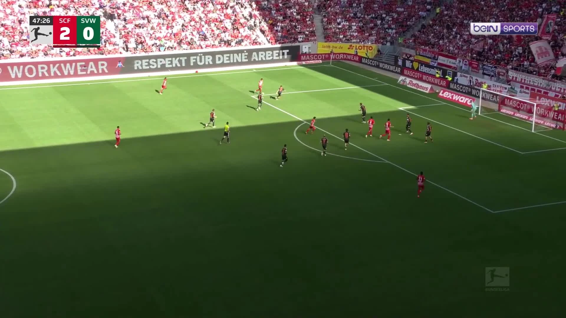 zaslepka skrotu video