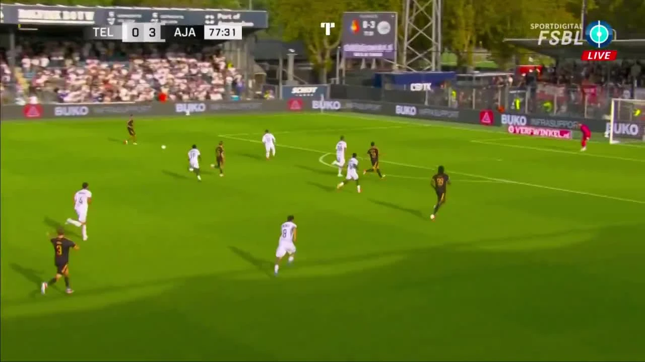 zaslepka skrotu video