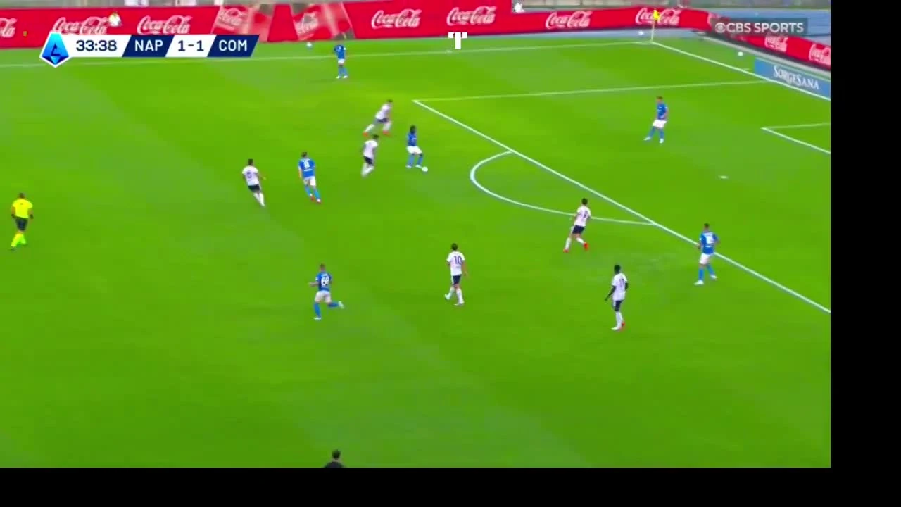 zaslepka skrotu video