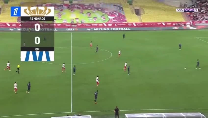 zaslepka skrotu video