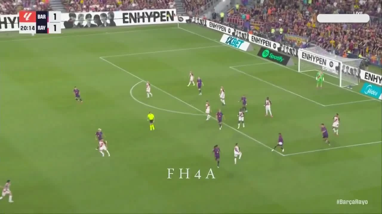 zaslepka skrotu video