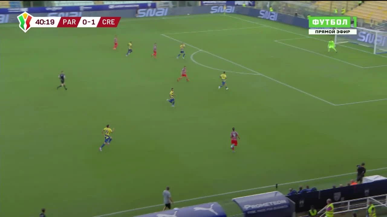 zaslepka skrotu video