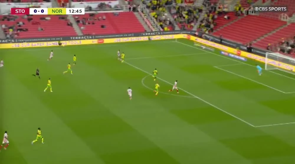 zaslepka skrotu video