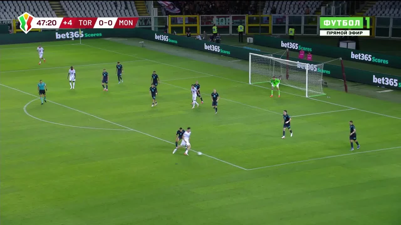 zaslepka skrotu video