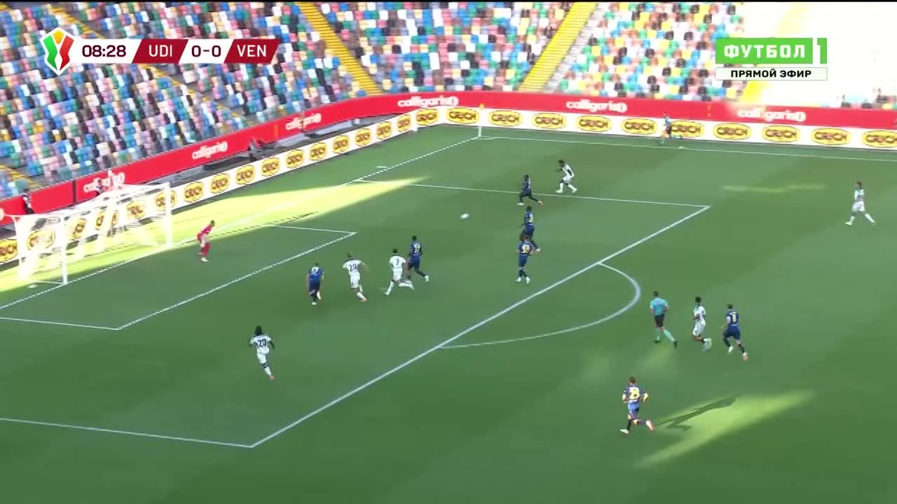 zaslepka skrotu video