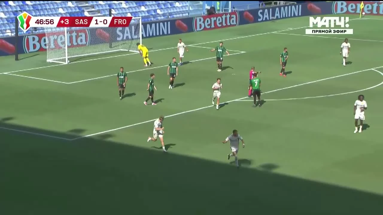 zaslepka skrotu video