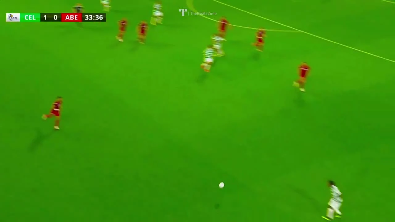 zaslepka skrotu video