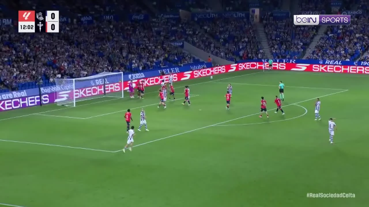 zaslepka skrotu video