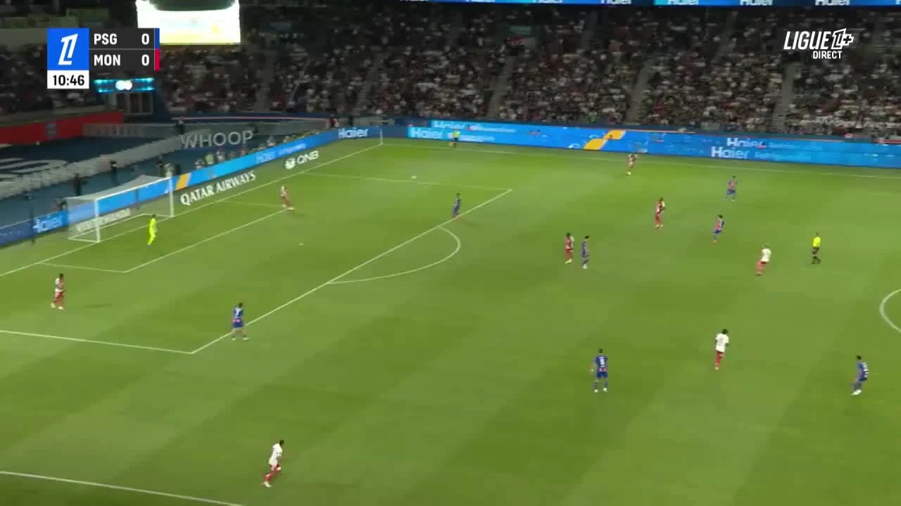 zaslepka skrotu video