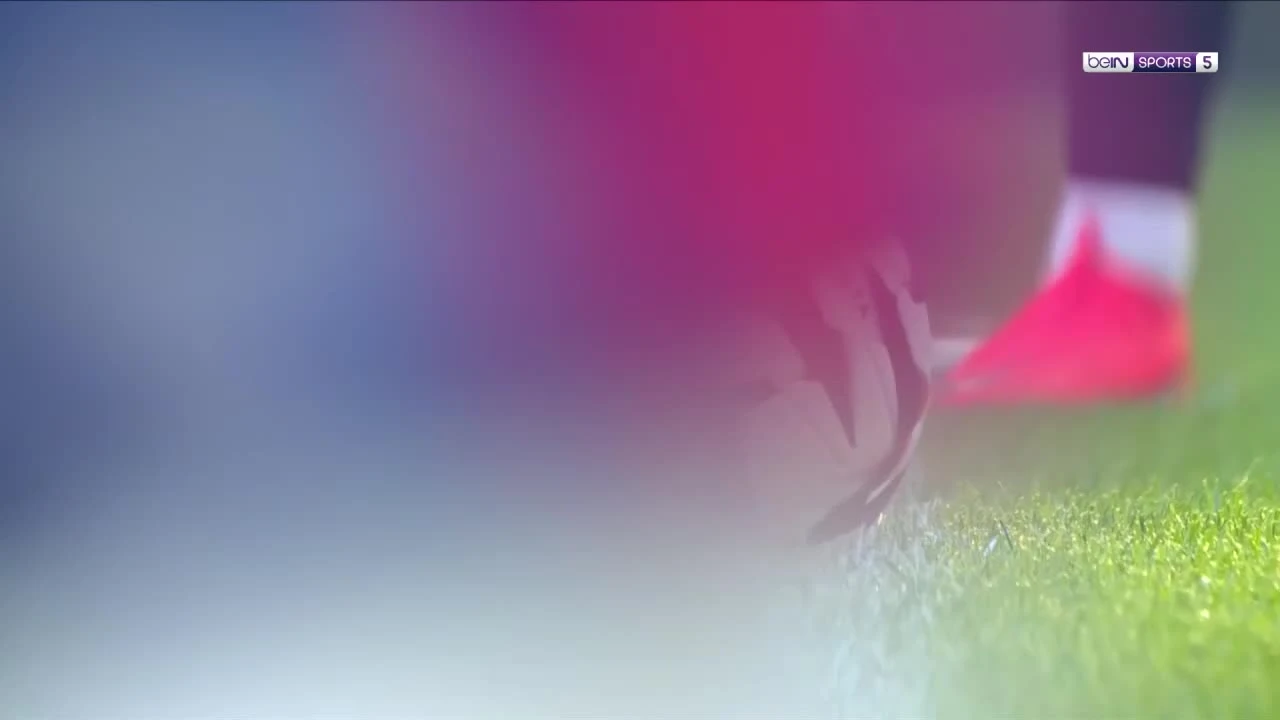 zaslepka skrotu video