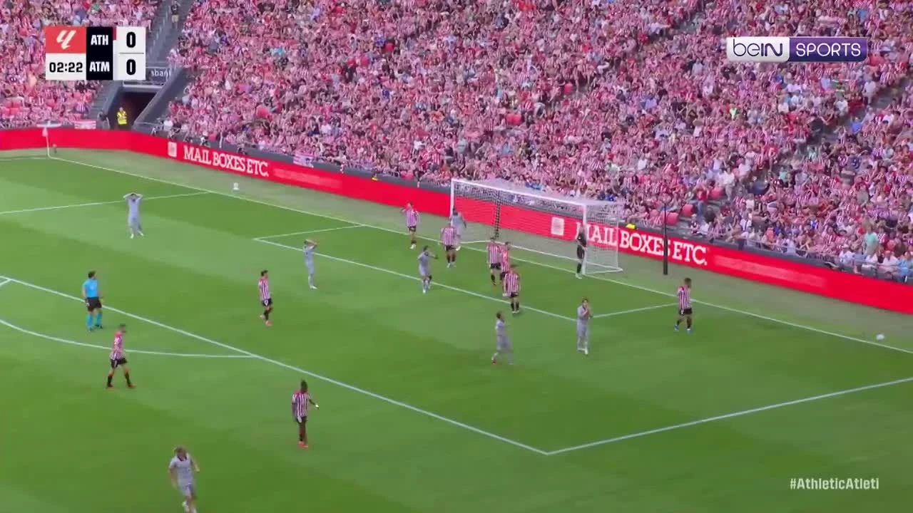 zaslepka skrotu video