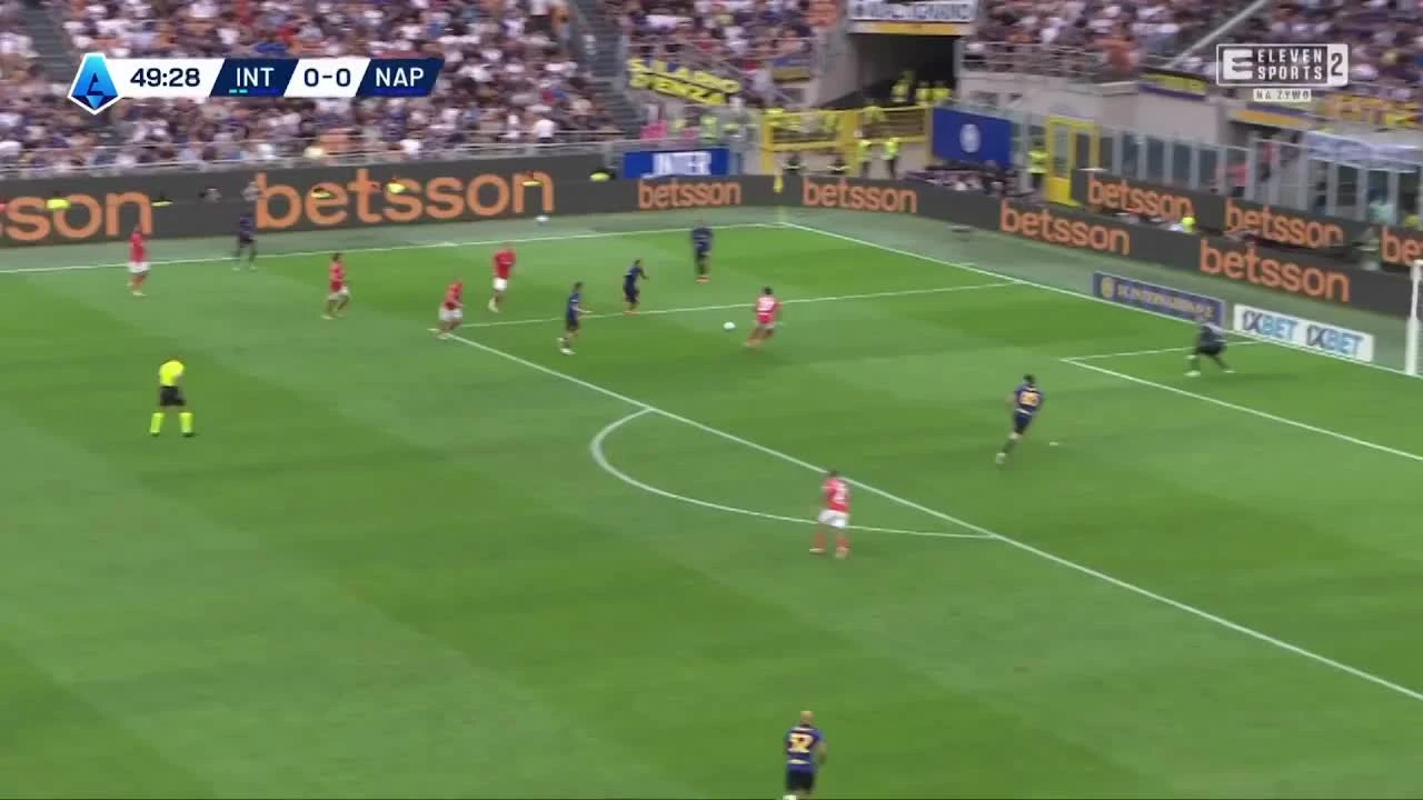 zaslepka skrotu video