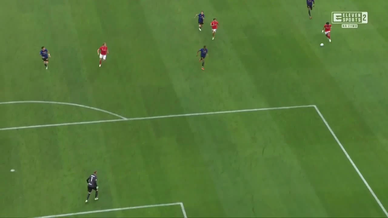 zaslepka skrotu video