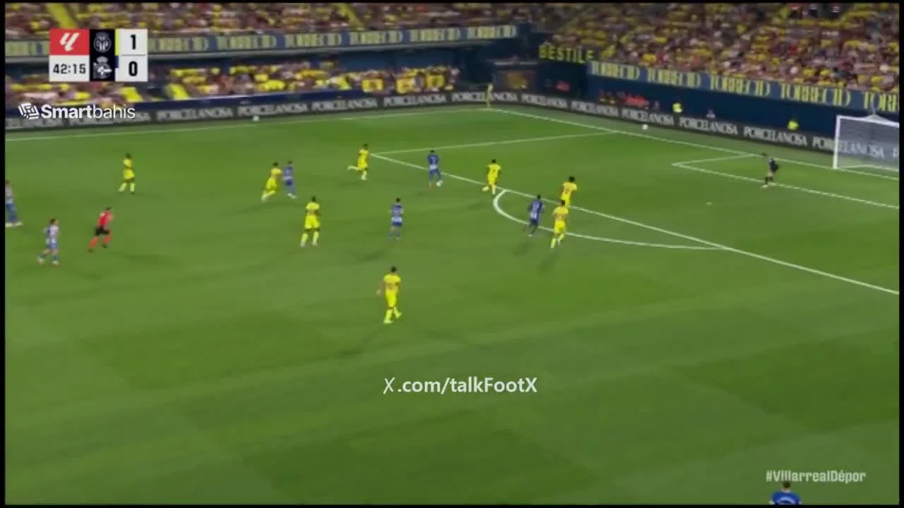zaslepka skrotu video
