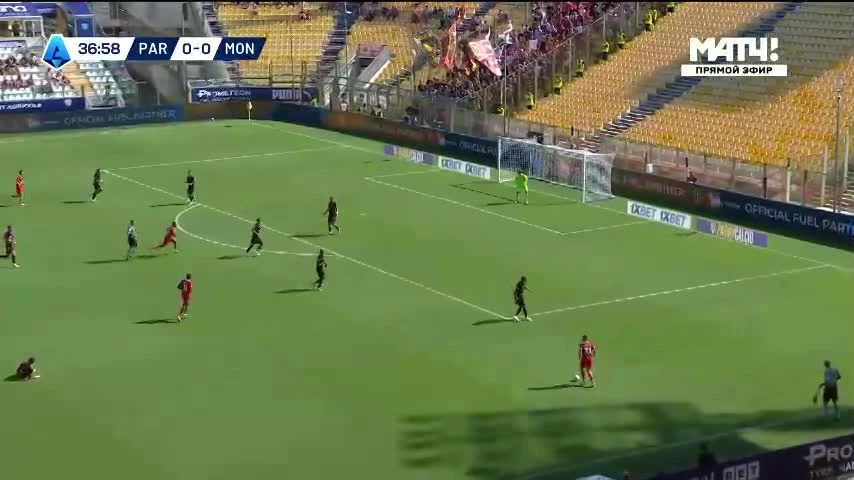 zaslepka skrotu video