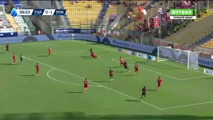 zaslepka skrotu video