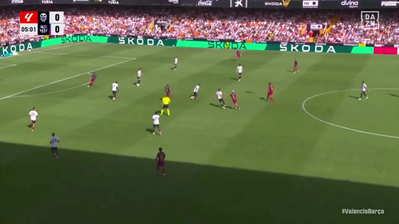 zaslepka skrotu video