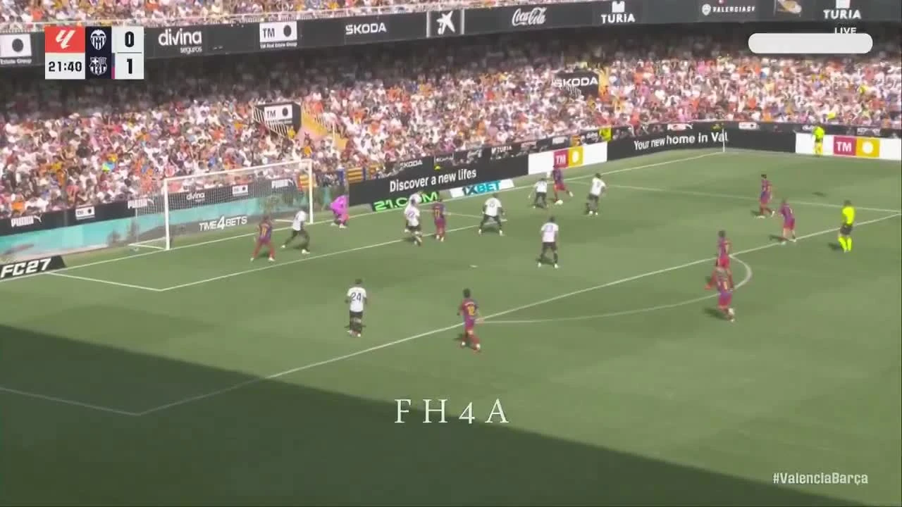 zaslepka skrotu video