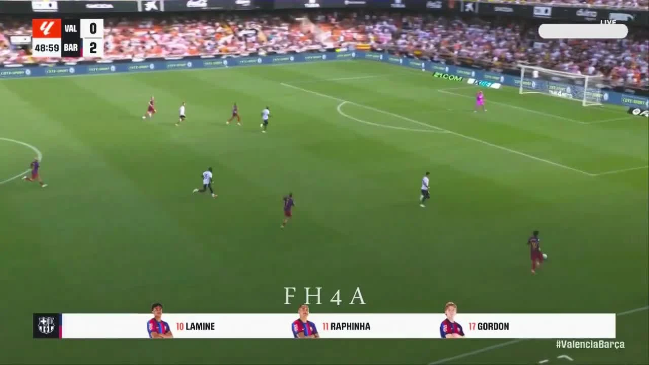 zaslepka skrotu video
