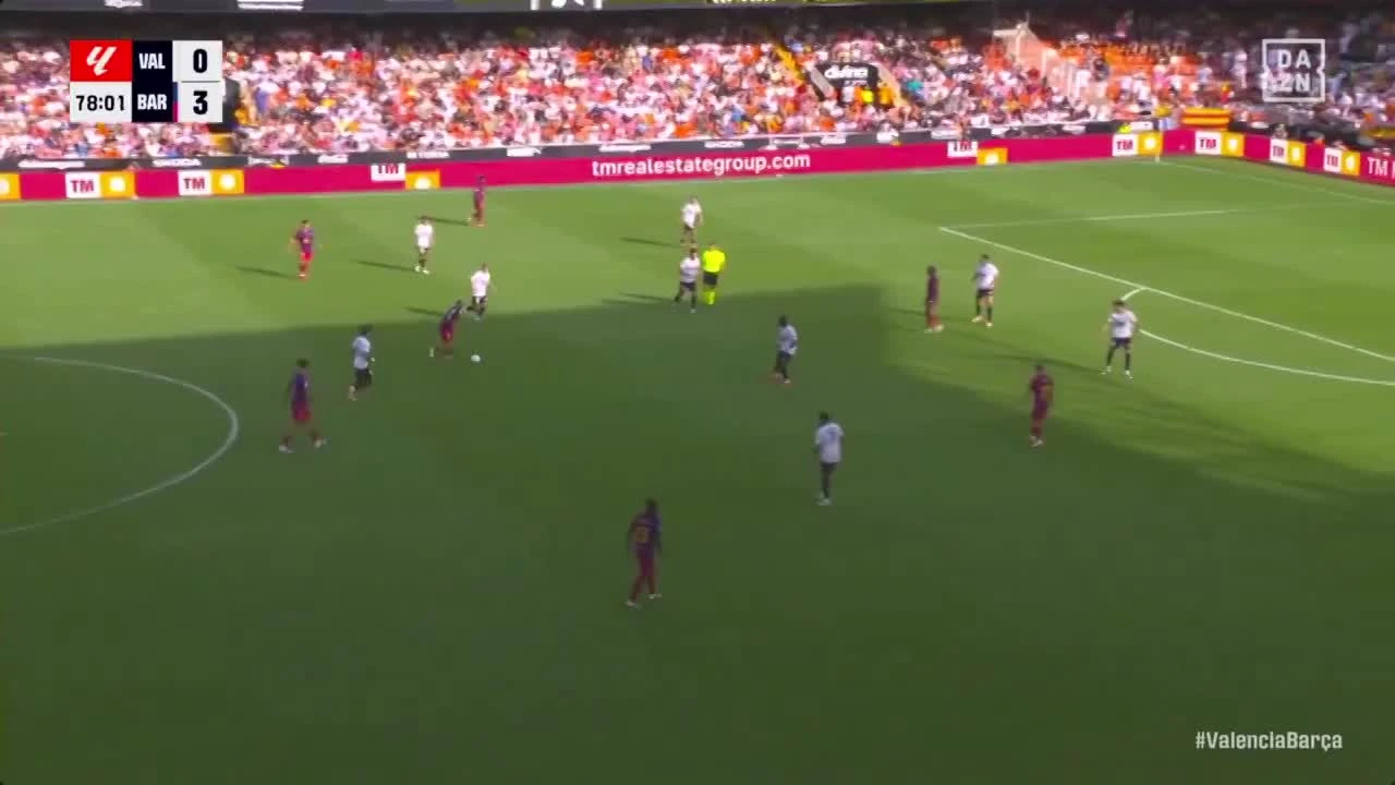zaslepka skrotu video