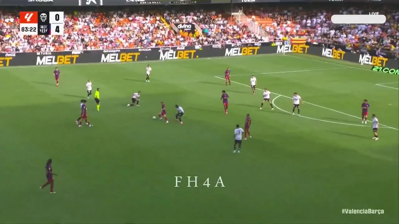 zaslepka skrotu video