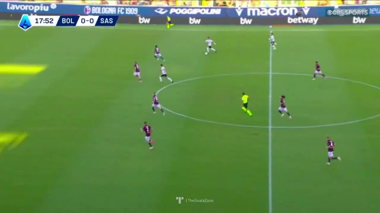 zaslepka skrotu video