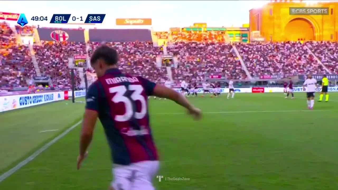 zaslepka skrotu video