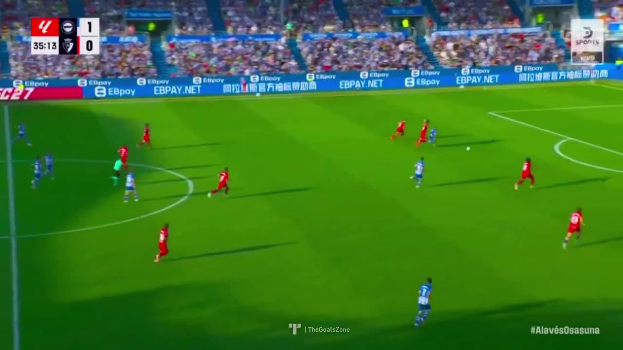 zaslepka skrotu video